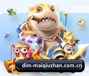 买球站 APP 深度功能